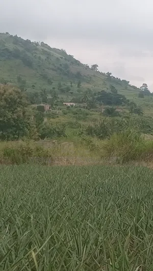 Alpha Properties Estate Land for Sale at Amasaman ASHIFLA
