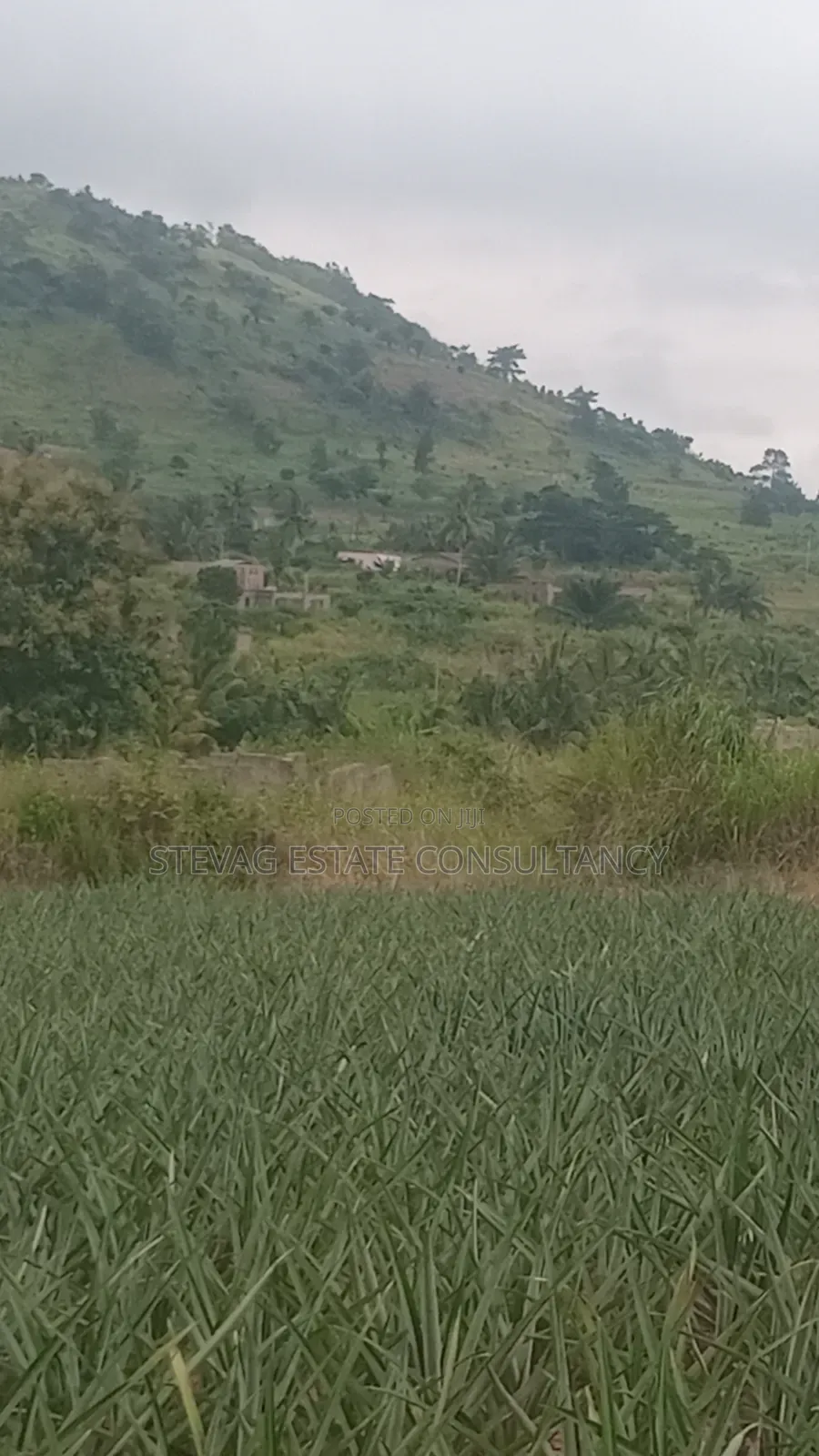 Alpha Properties Estate Land for Sale at Amasaman ASHIFLA