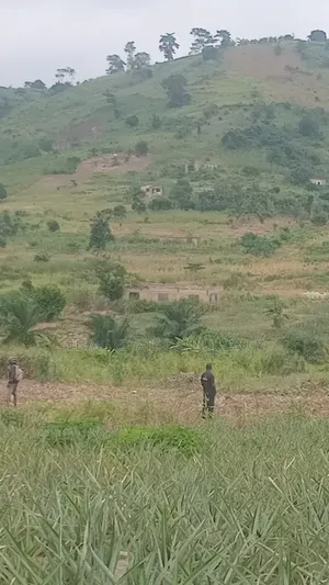 Alpha Properties Estate Land for Sale at Amasaman ASHIFLA