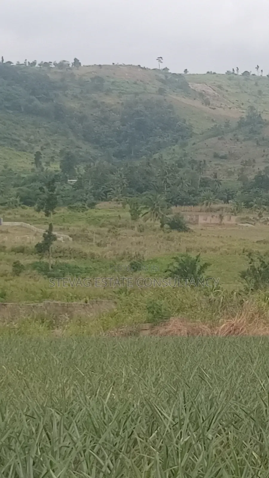 Alpha Properties Estate Land for Sale at Amasaman ASHIFLA