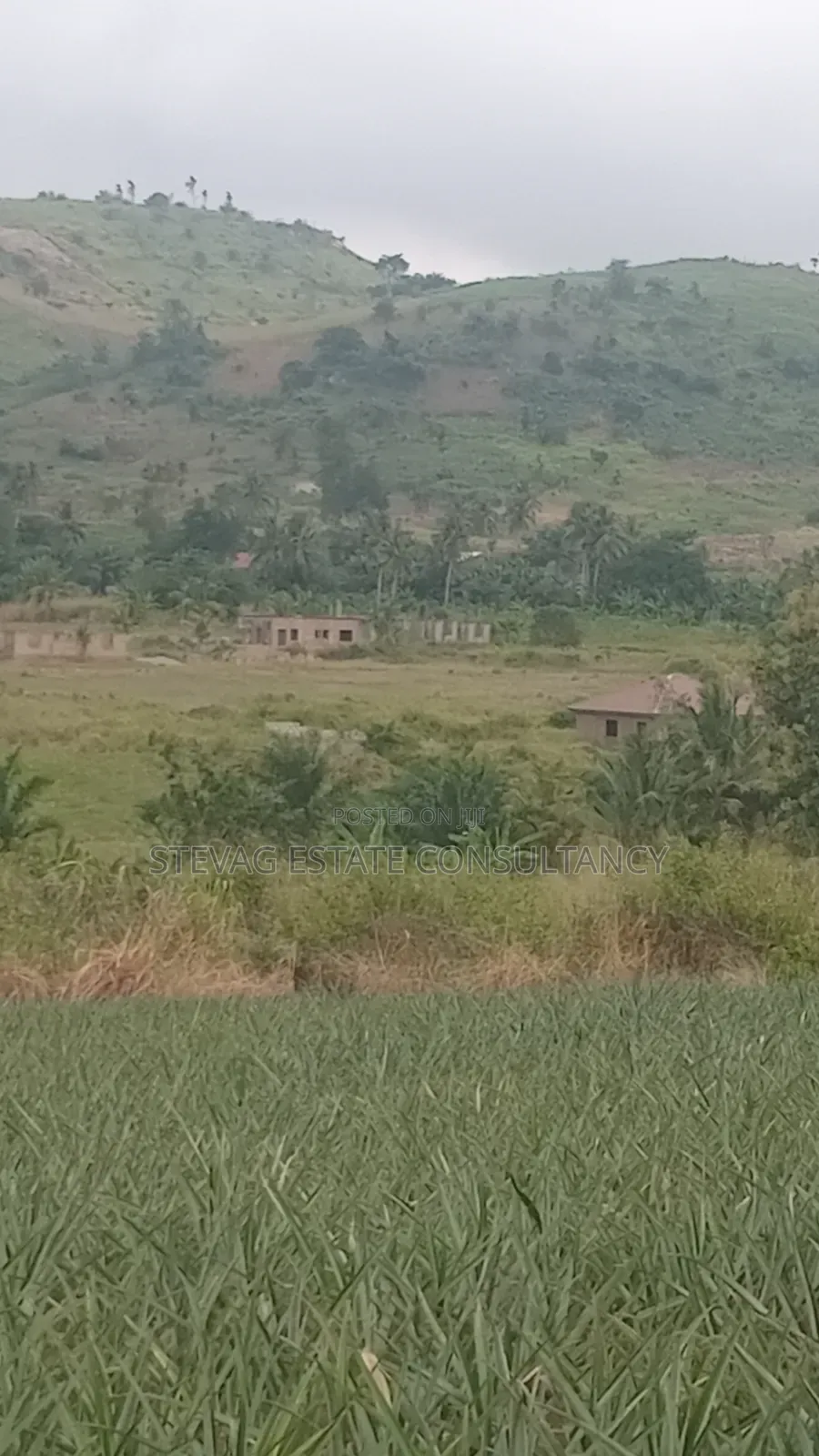Alpha Properties Estate Land for Sale at Amasaman ASHIFLA