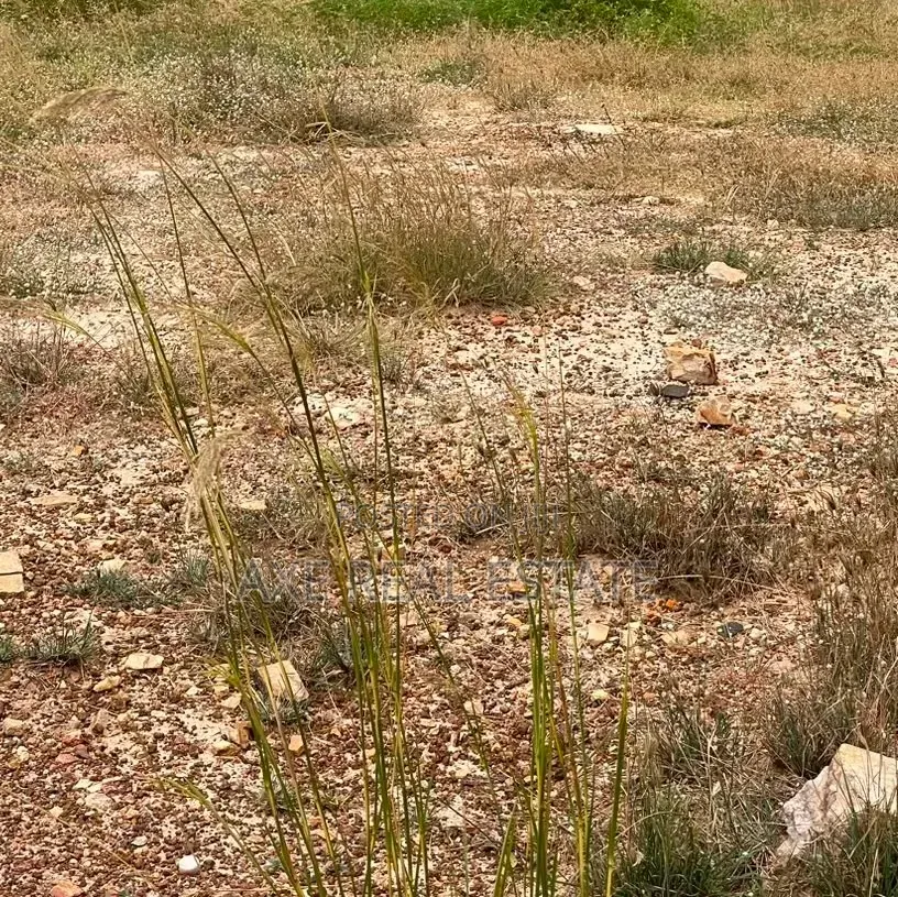Legit Standard Sized Plots - New Ningo Prampram