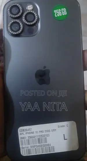 Apple iPhone 12 Pro 256 GB Gray