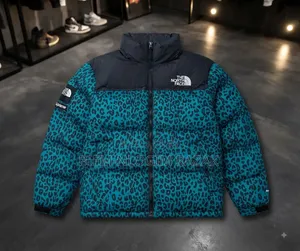 Puffer Multi Colored North Face Gucci Winter Jacket Available In