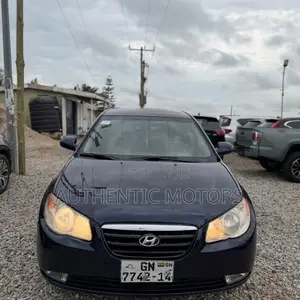 Hyundai Elantra 2010 Blue