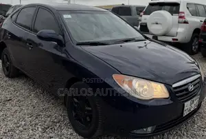 Hyundai Elantra Blue 2010 Blue