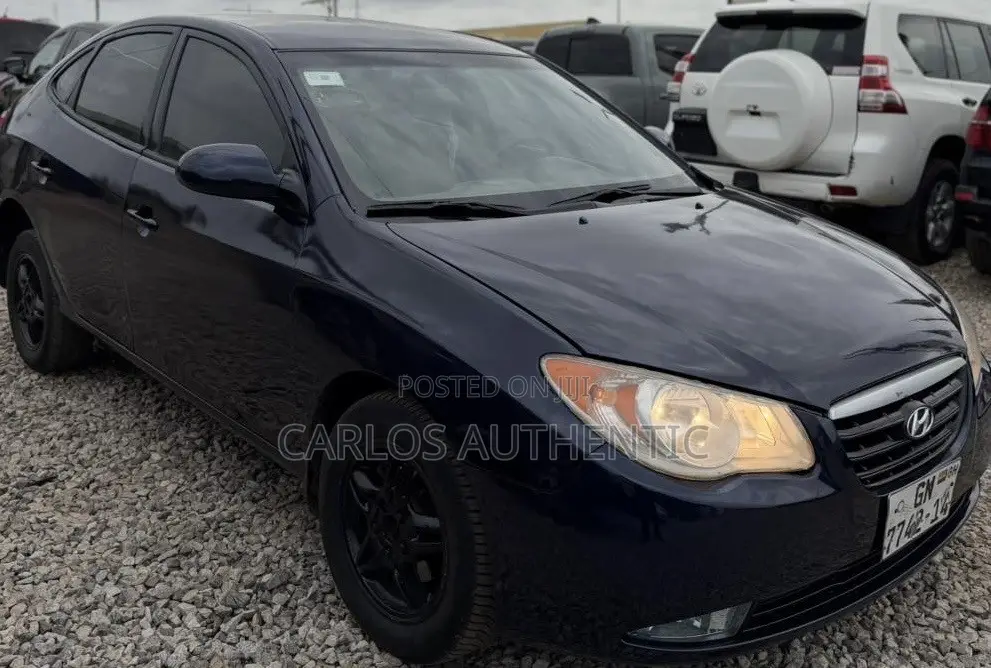 Hyundai Elantra Blue 2010 Blue