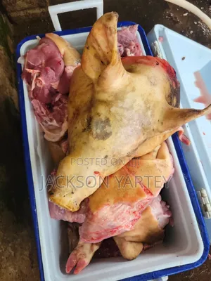 Fresh Quality Pork Meat