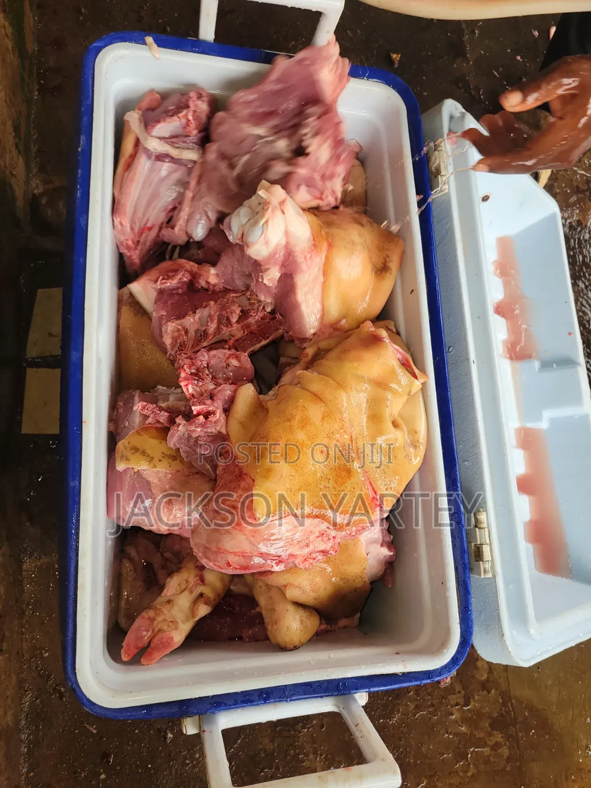 Fresh Quality Pork Meat