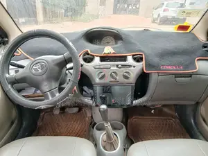 Toyota Echo 2024 Gray