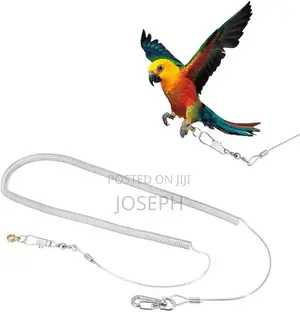 Bird Flying Leash/Rope