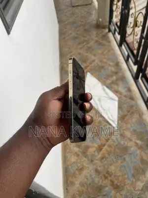 Apple iPhone 12 Pro Max 128 GB Gold