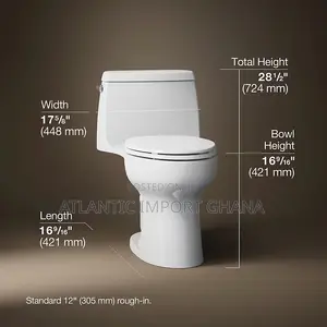 KOHLER Santa Rosa One-Piece Elongated Toilet | K-30810-0
