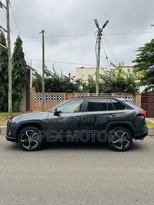 Toyota RAV4 LE 2021 Gray
