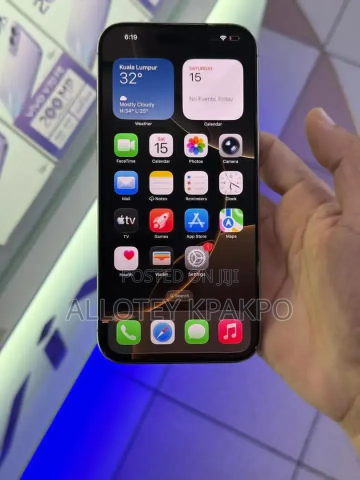 Apple iPhone 15 Pro Max 256 GB Silver