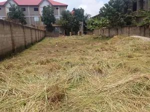 Fenced Virgin Land