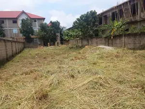 Fenced Virgin Land