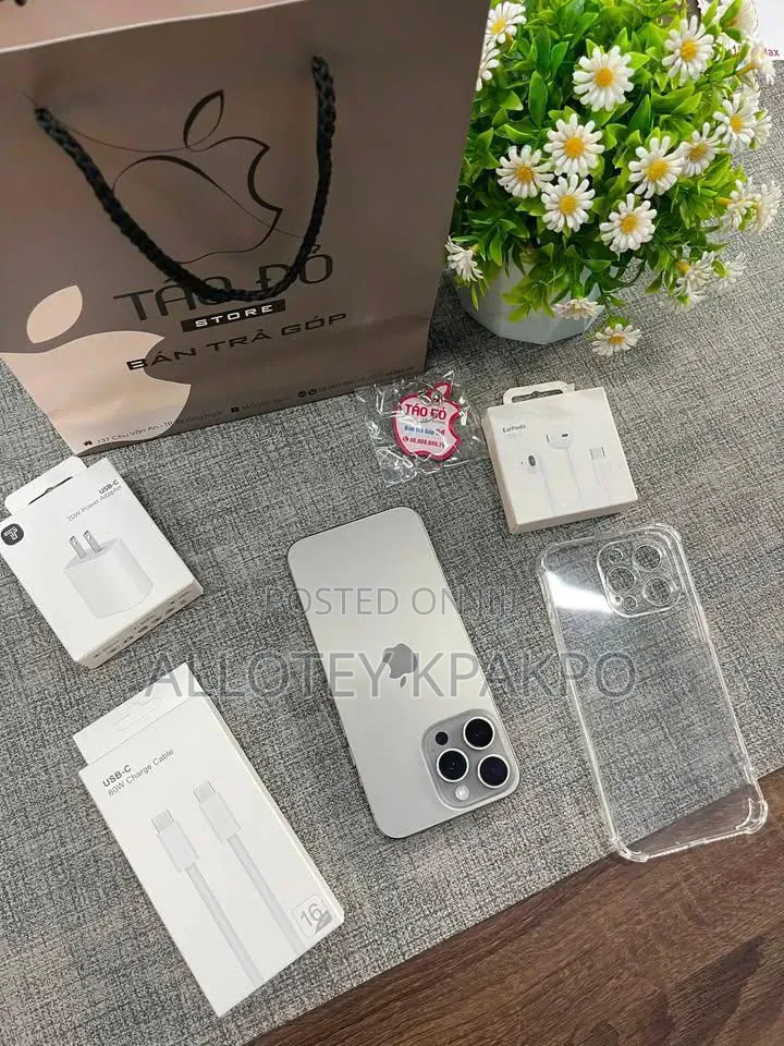 Apple iPhone 15 Pro Max 256 GB Silver