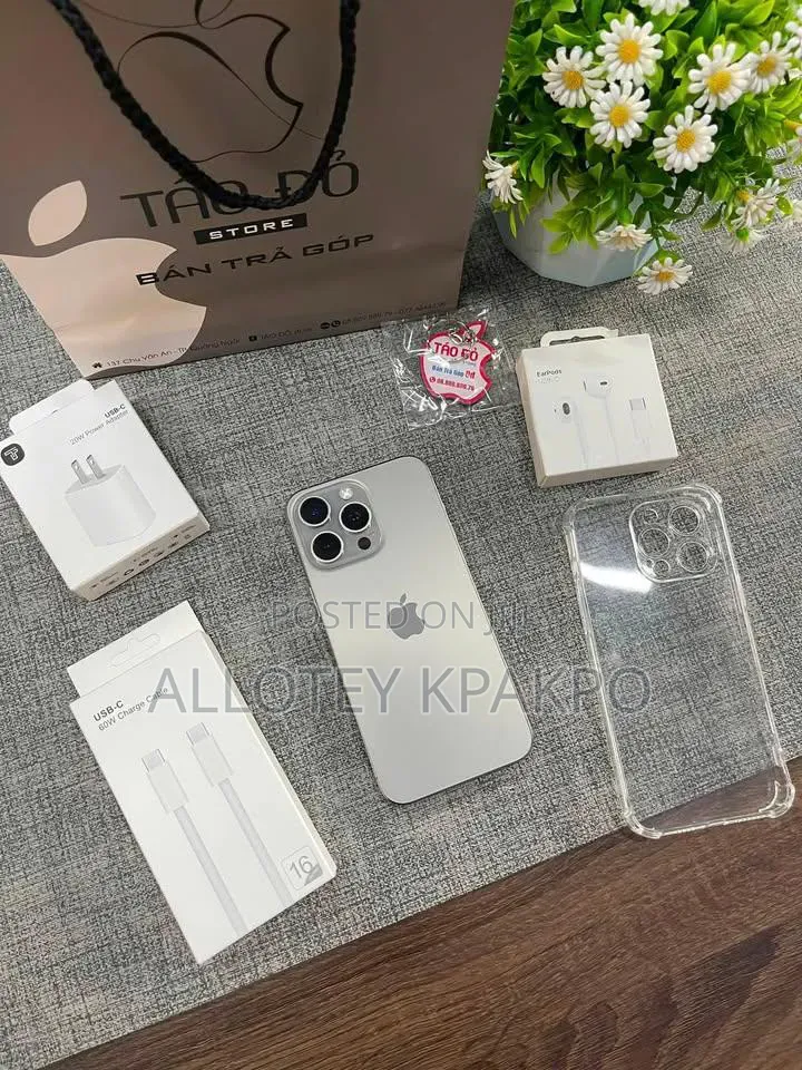 Apple iPhone 15 Pro Max 256 GB Silver