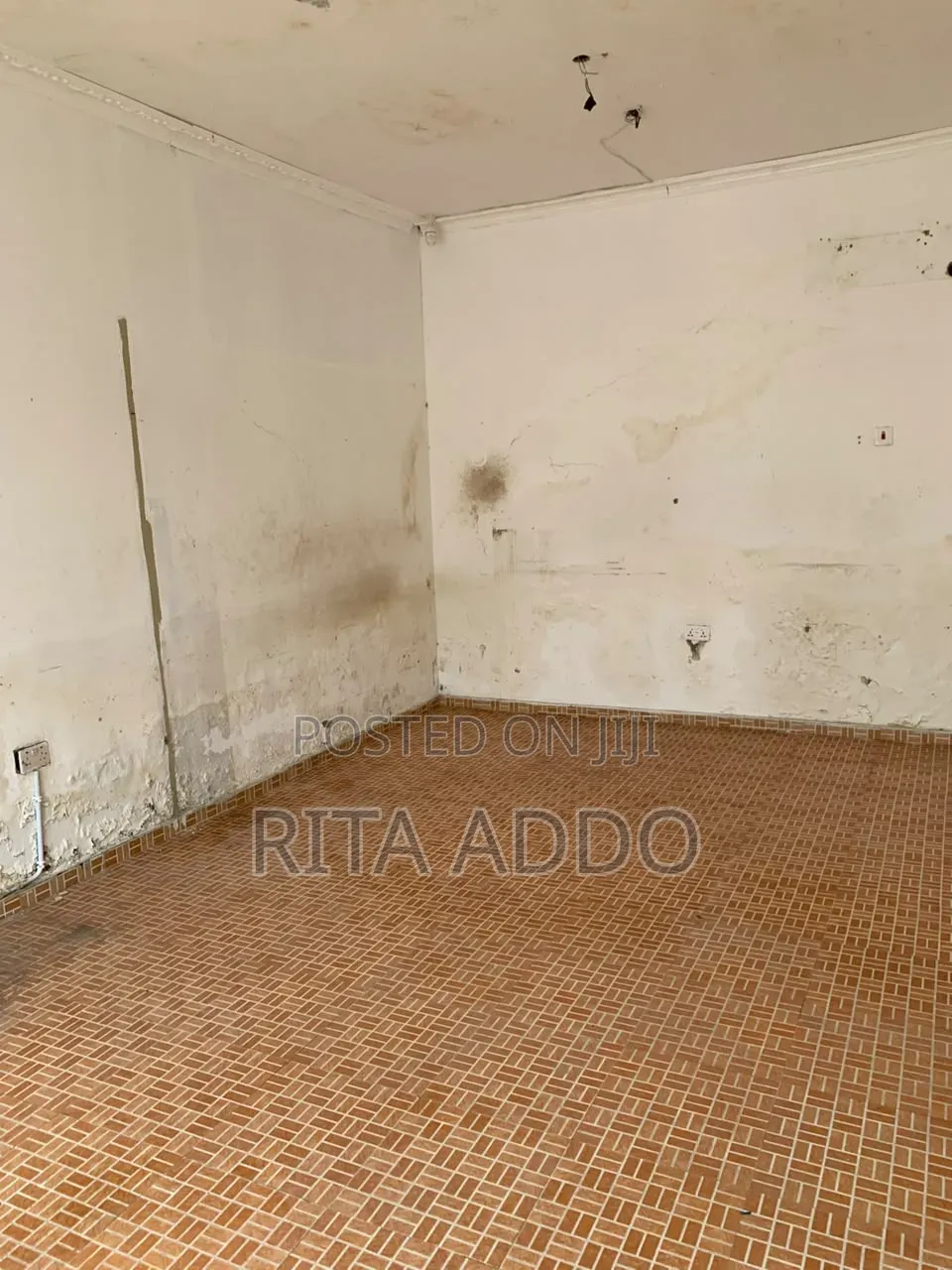 Shop for Rent