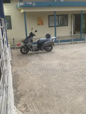 Motorcycle 2025 Brown