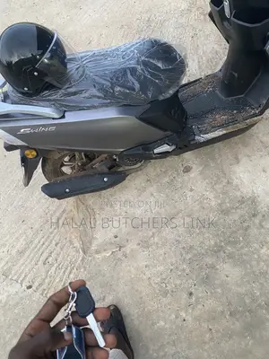 Motorcycle 2025 Brown