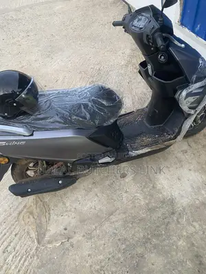 Motorcycle 2025 Brown