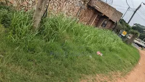 Contact for Weeding, Mowing of Lawns and Cutting of Grass