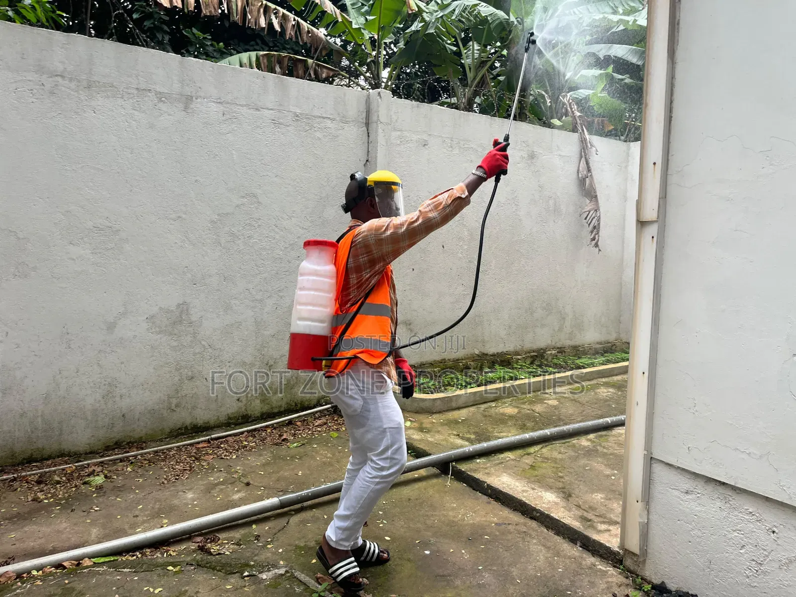 Quality Assurance Fumigation and Pest Control