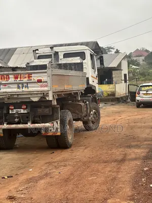 Man Dump Single Axle for Sale