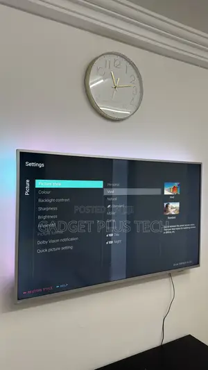 58” Philips Andriod TV (Shadow Line on the Screen)