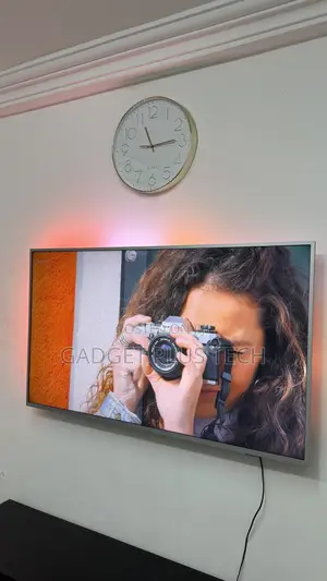 58” Philips Andriod TV (Shadow Line on the Screen)