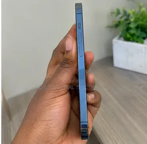Apple iPhone 12 Pro Max 256 GB Blue