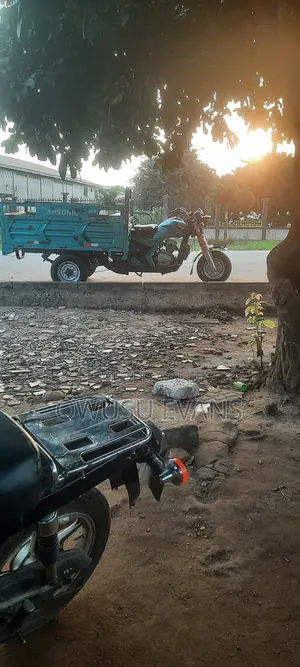 Tricycle 2024 Green