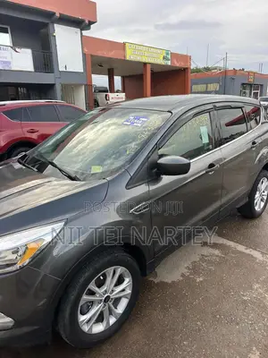 Ford Escape SE 4x4 2019 Gray