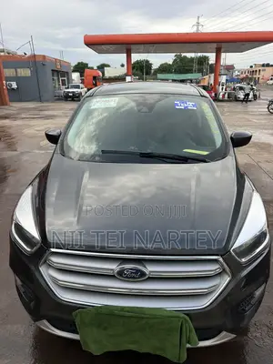 Ford Escape SE 4x4 2019 Gray
