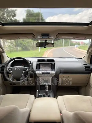 Toyota Land Cruiser Prado 2020 Brown