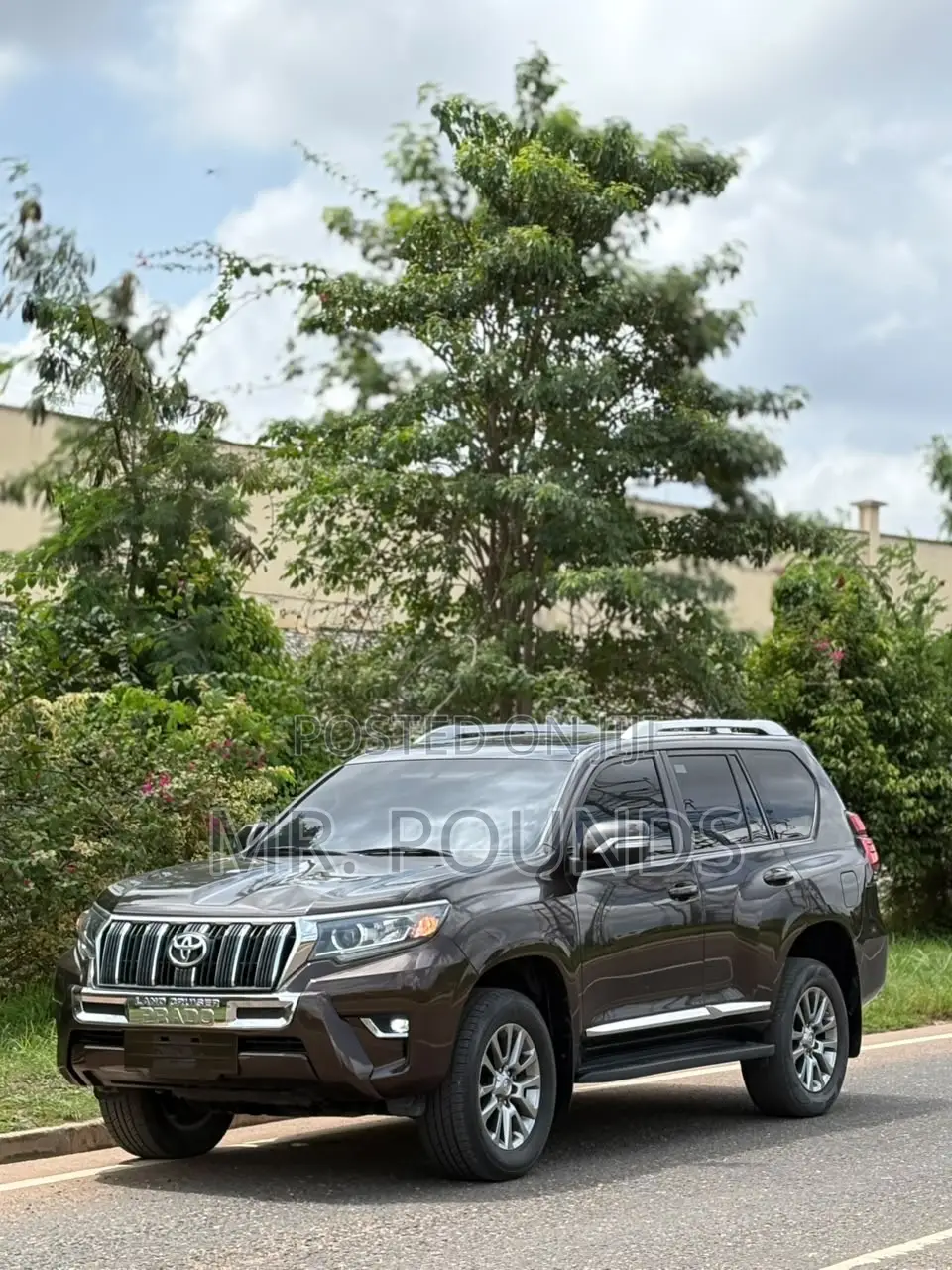 Toyota Land Cruiser Prado 2020 Brown