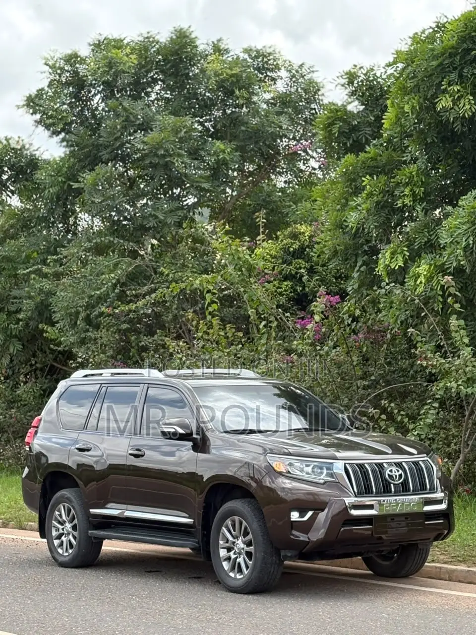 Toyota Land Cruiser Prado 2020 Brown