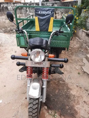 Luojia Clean Tricycle 2022 Green