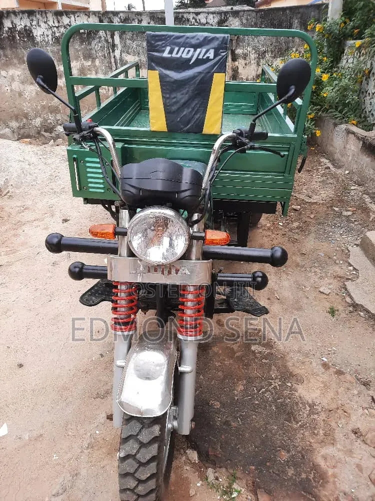 Luojia Clean Tricycle 2022 Green