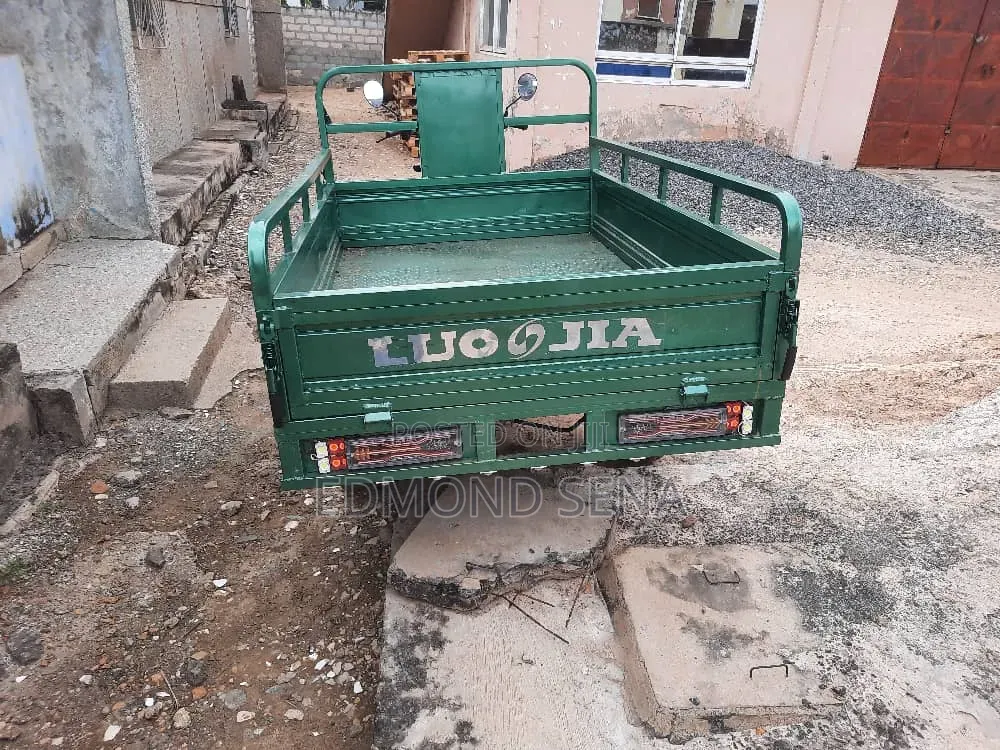 Luojia Clean Tricycle 2022 Green