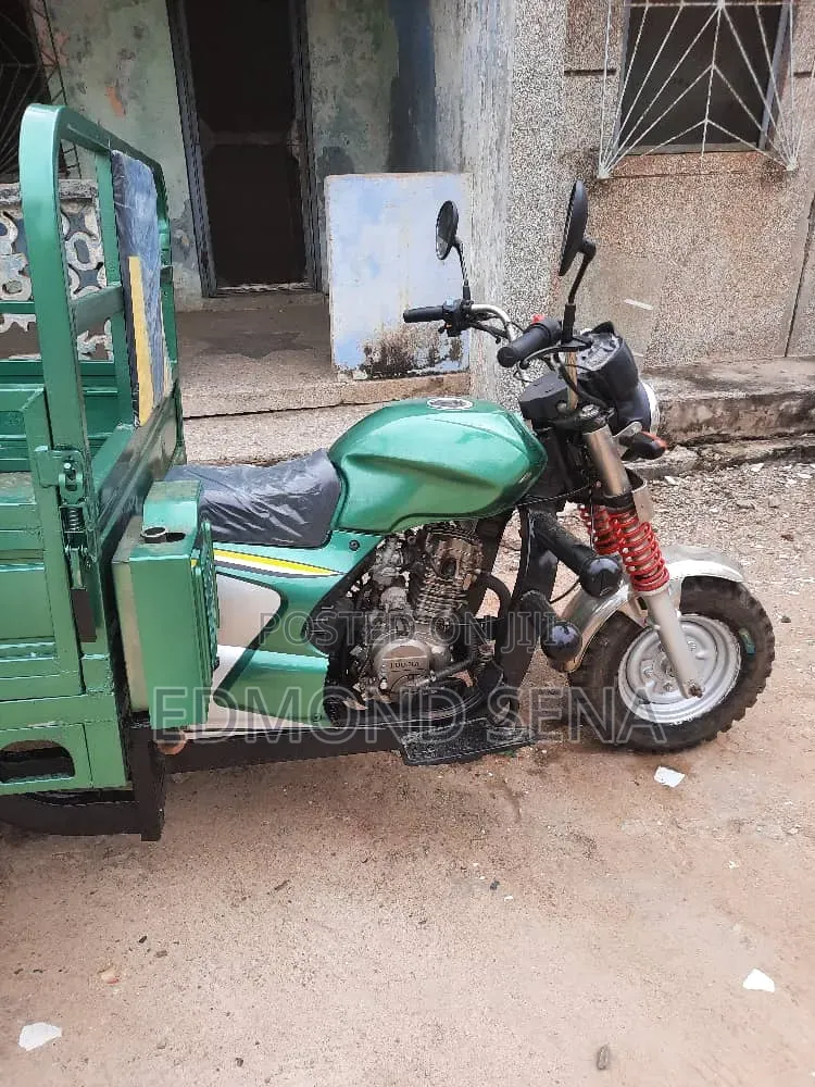 Luojia Clean Tricycle 2022 Green