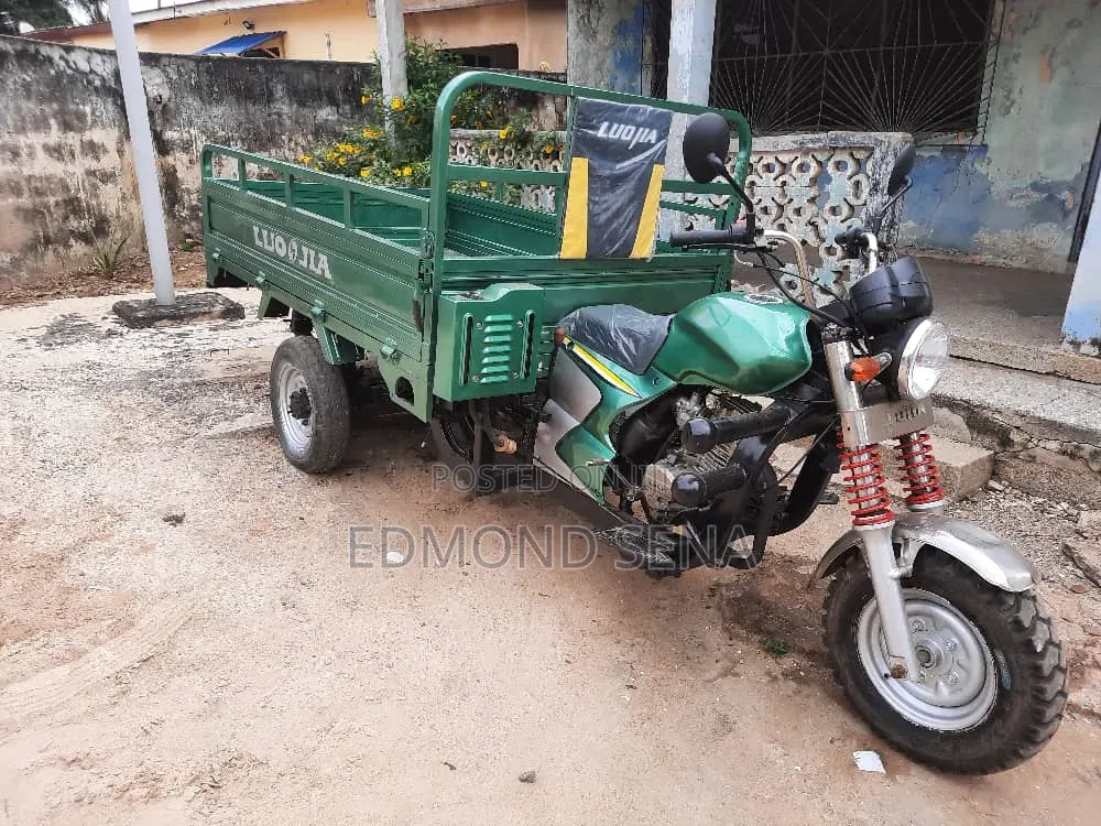 Luojia Clean Tricycle 2022 Green