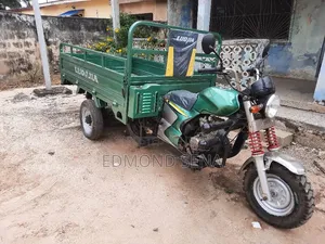Luojia Clean Tricycle 2022 Green