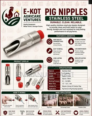 Pig Nipples