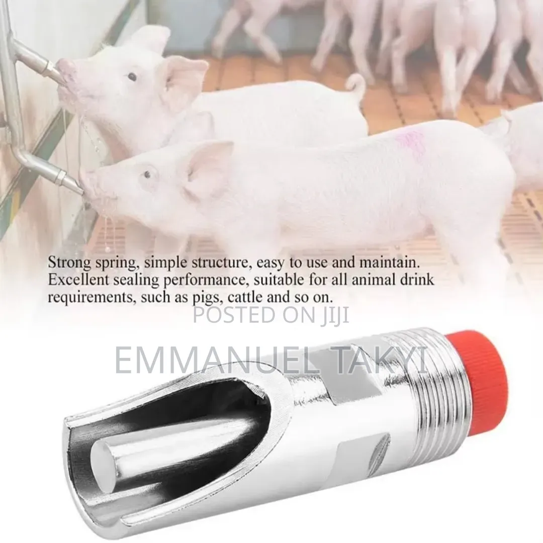 Pig Nipples