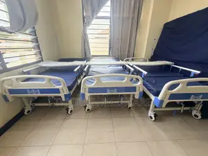 Manual 2crank Hospital Bed (With Iv Pole, Table)