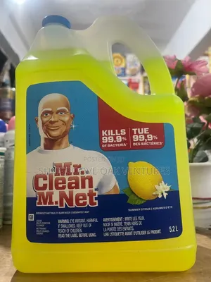Mr Clean M. Net