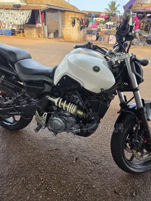 Yamaha FZ 2022 White